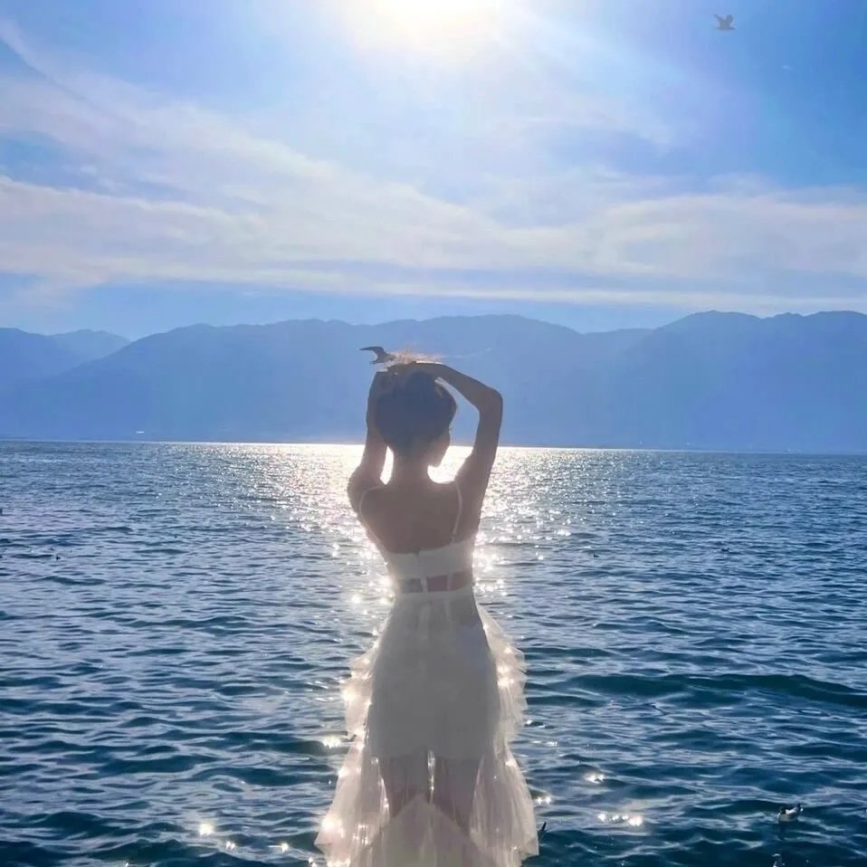 蝴蝶的梦想海报